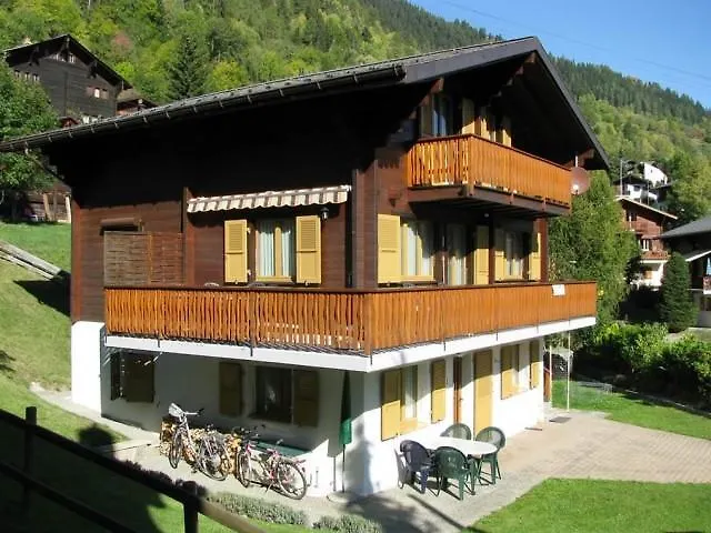 Duinli Chalet